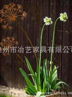 跨境经典风格的金属生锈蒲公英地插-乡村家居装饰花园艺术支架