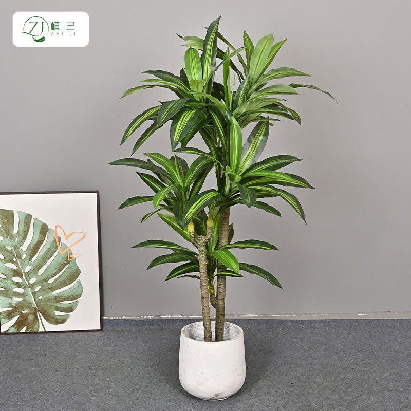 仿真巴西铁 北欧风假植物室内装饰落地盆栽客厅盆景造景摆件橱窗