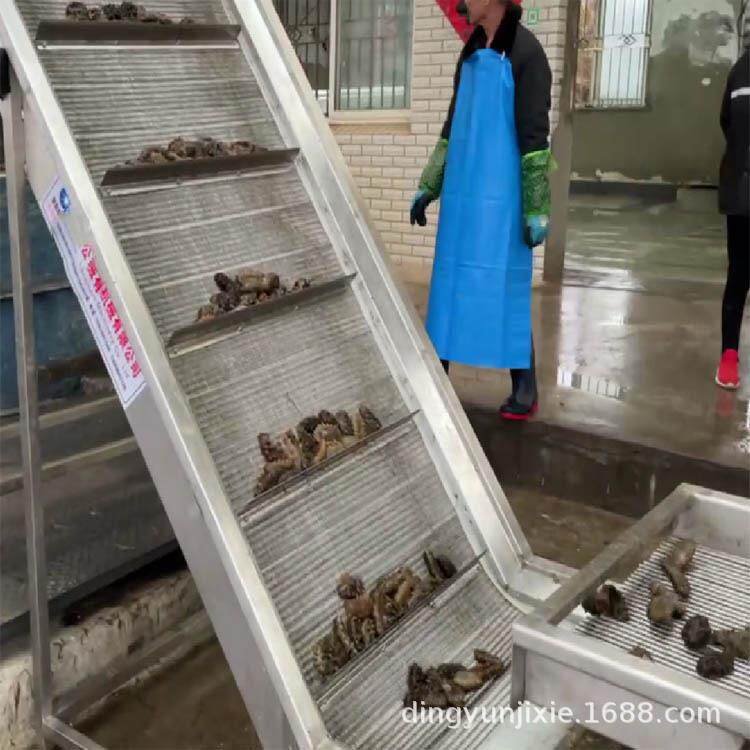 烟台鲜海参加工设备海参震肠机海参清洗机海参蒸煮锅