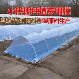 蓝色大棚内二膜农用菜园透明保温保湿蔬菜小拱棚加厚专用塑料薄膜
