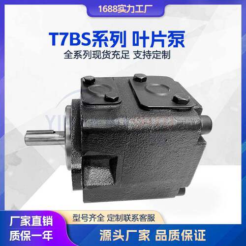 液压泵T7BS叶片泵船甲板克令吊液压泵高压叶片泵伺服泵T7BBT7DB