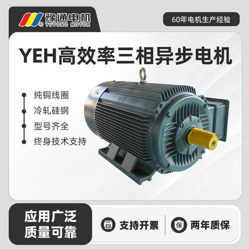 YE2/YEH三相异步电机380V纯铜线0.55/0.75/1.1/1.5/2.2/3/4W