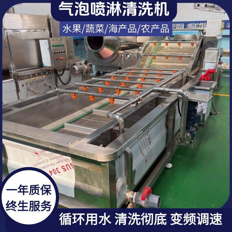 茄子黄瓜大姜洋姜西红柿桃子蓝莓清洗线果蔬海鲜气泡清洗机