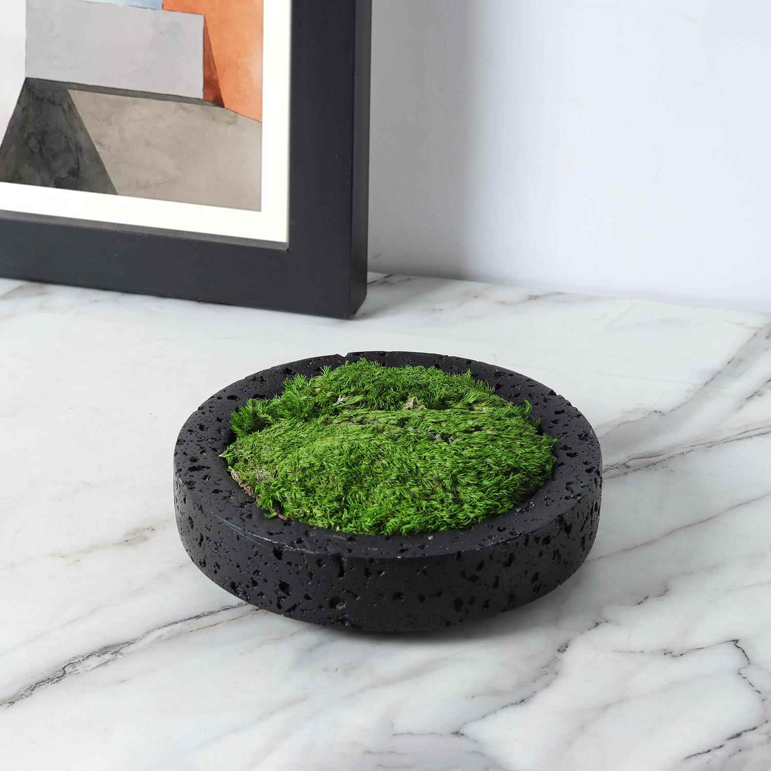 永生苔藓植物盆景青苔绿植摆件家居茶几餐桌书桌床头柜台面装饰品