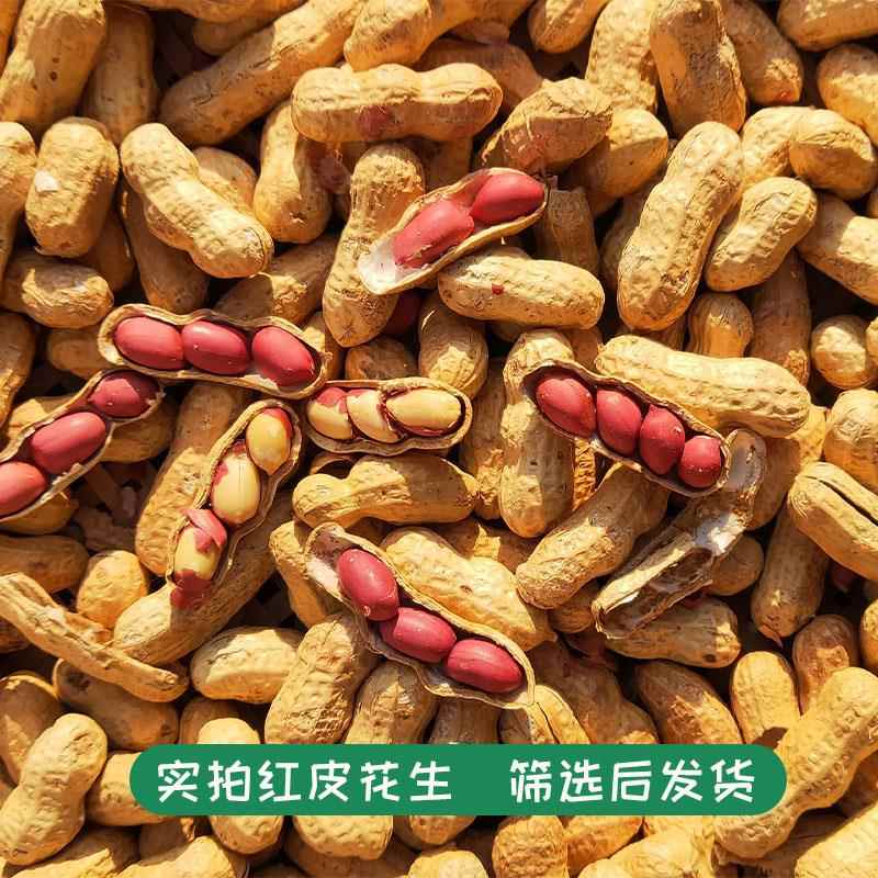 当年新鲜现炒原味四粒红衣花生农家柴火炒熟花生带壳炒货花生新货