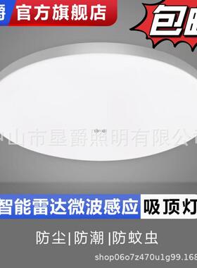led雷达人体感应吸顶灯超薄圆形过道走廊三防灯智能声光控面板灯
