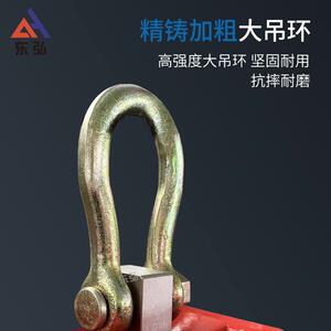 东弘电子吊秤吊钩秤1吨3t5t10t直视吊称行车吊磅高精度工业电子秤