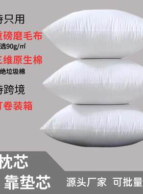 抱枕芯 PP棉磨毛布靠垫芯 厂家供应腰靠包枕芯 45 50 55 60