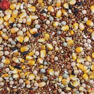 10斤装有玉米鸽粮赛飞营养饲料鸟食观赏鸽肉鸽粮鸽子食