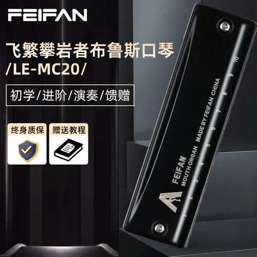 FEIFAN飞繁十孔攀岩者C调布鲁斯口琴MC20初学者入门专业演奏口琴