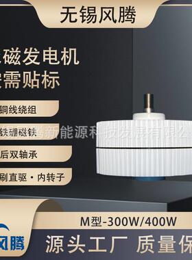 M-300W 12V24V48V三相交流 稀土永磁发电机 涡轮发电机可贴标出货