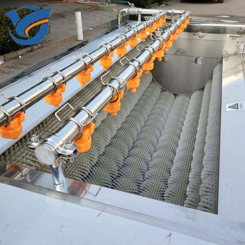 生姜去皮设备大姜清洗机黄姜清洗机食品级304型号多大蒜果蔬