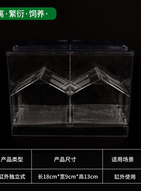 收纳繁殖鱼缸凤尾网鱼鱼缸隔离网盒小号新款专用鹦鹉鱼鱼苗盒板