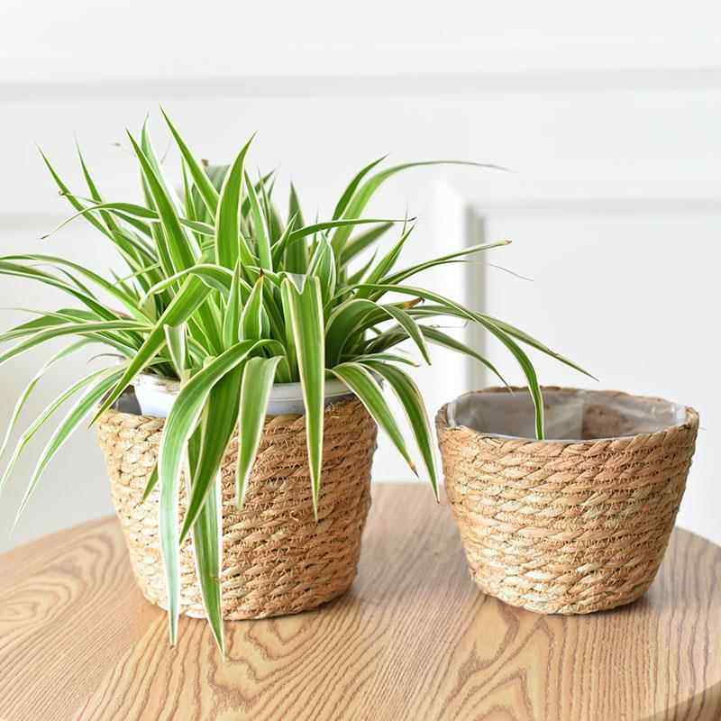 北欧草编花盆编织花篮桌面盆栽花器藤编天然海草编织袋绿植花盆,家居饰品,花盆,淘宝优惠券,粉丝福利购,淘宝优惠卷