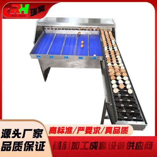 山东蛋品分选机鸡蛋孵化配套设备鸡蛋鸭蛋蛋品称量分级设备