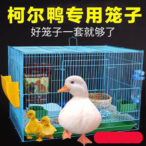 养鸭专用笼子自动清粪家用养鸡养兔子大容量可手提移动简约宠物窝