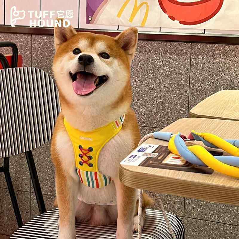 TuffHound它愿 狗狗胸背柯基防爆冲牵引绳背心式可调节轻便遛狗绳