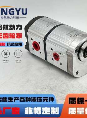 Hengyuhang齿轮泵替换力士乐Rexroth双联齿轮泵1518222961液压泵