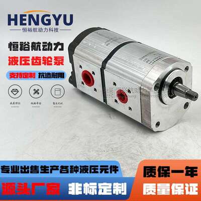 Hengyuhang齿轮泵替换力士乐Rexroth双联齿轮泵1518222961液压泵