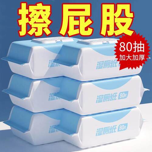 Family Value Pack of Flushable Wet Wipes for Toilet Hygiene