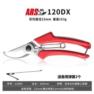 爱丽斯进口修枝ars剪园艺爱丽丝剪刀果树日本剪枝 剪树枝园林修剪