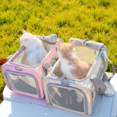 航空宠物包猫包外出可携式狗狗包外带旅游手提袋猫咪进飞机客舱软