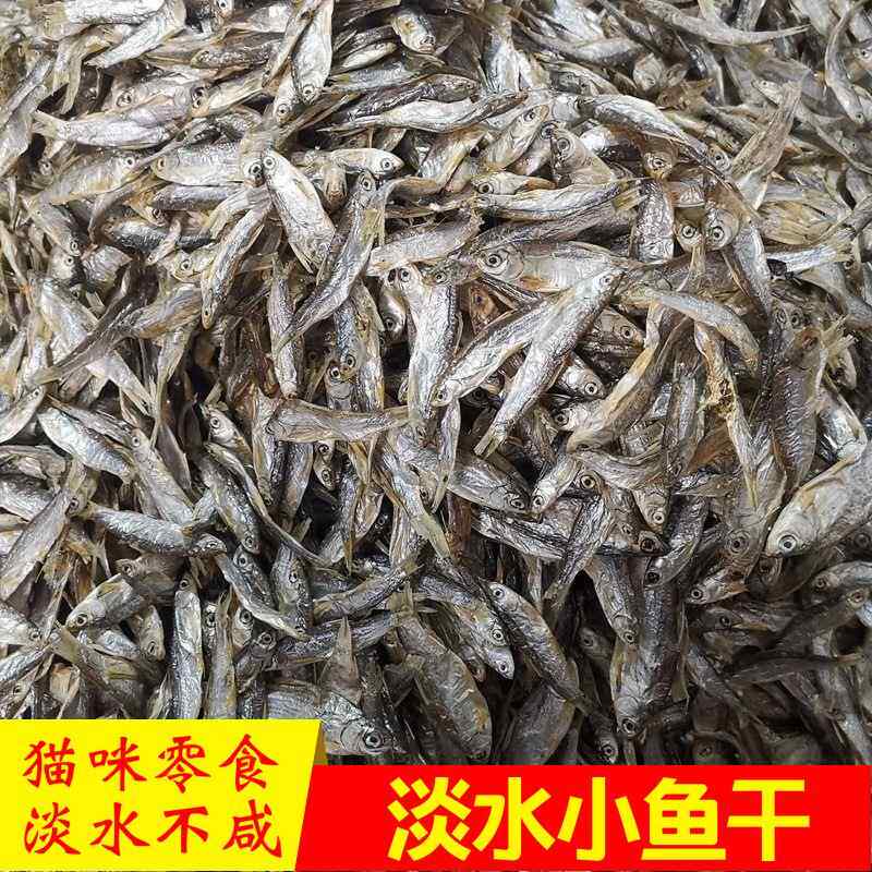 猫咪零食淡水小鱼干淡水湖泊捕捞补钙成猫幼猫零食仓鼠粮500克