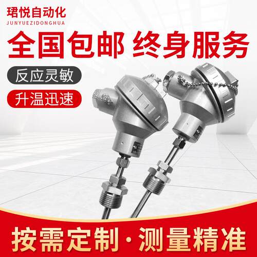 测温度仪表铠装热电阻多功能热电偶温度传感器变送器WZP2-220