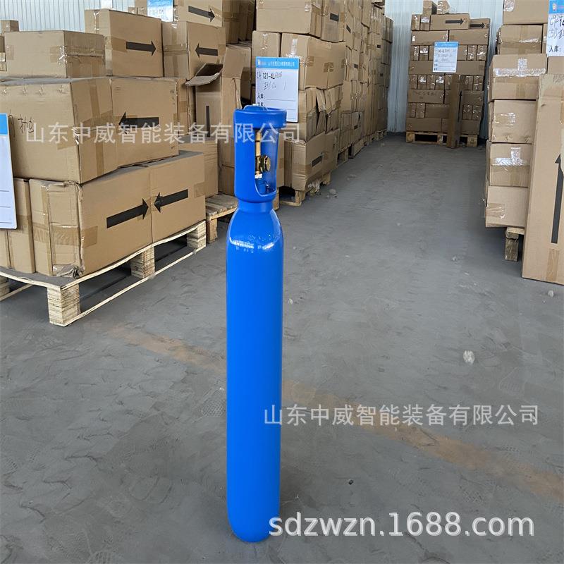 医用便携式氧气瓶 老人孕妇吸氧家用20L升小氧气罐户外救急吸氧器