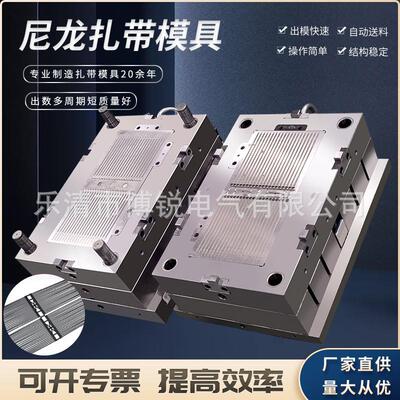 厂家专业模具制造中心供应扎带模具4X30032自动送料尼龙扎带模具