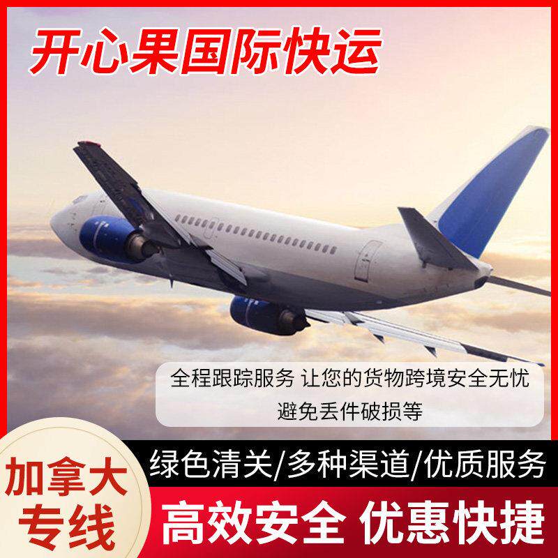 加拿大物流专线国际快递集运邮寄国际快递到加拿大空运海运物流