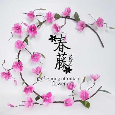 新款直销玉兰花塑料藤蔓墙面水管道空调假花藤条缠绕仿真花装饰墙