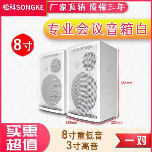 8寸白色会议音箱会议室/店铺/商场/家用KTV会议无源对箱