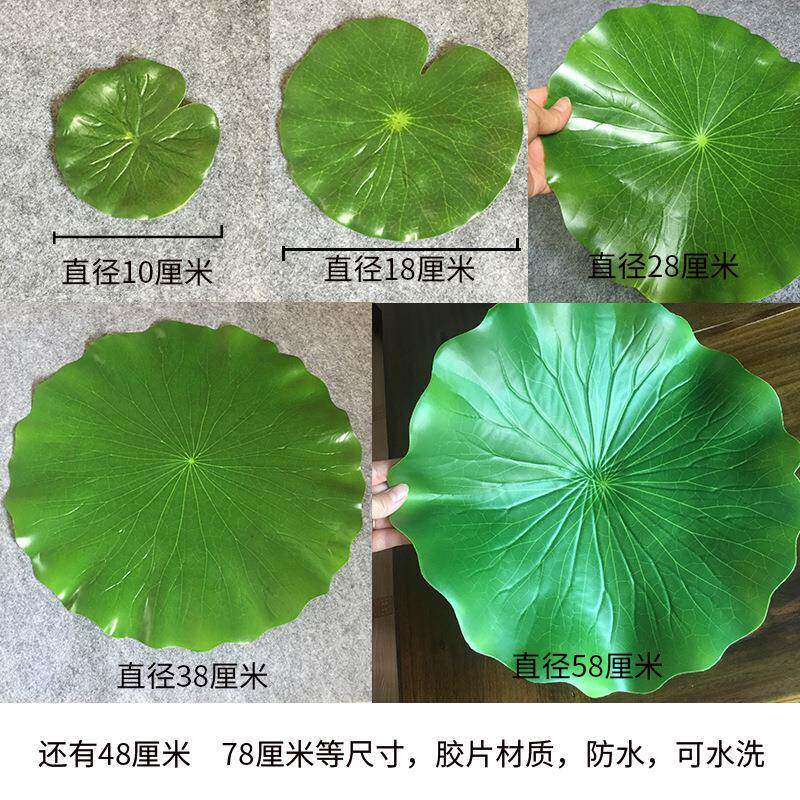 冷菜菜品摆盘塑料薄装饰荷叶仿真荷花水果店道具叶子假仿真荷叶
