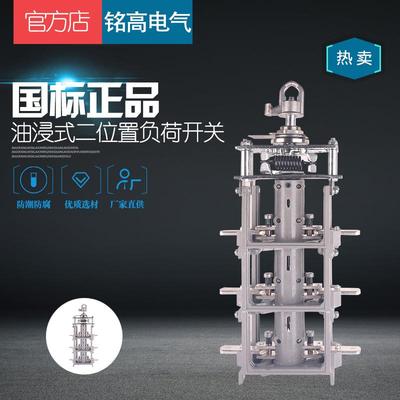 二工位开关FYN33-10/630A终端型美式箱变用油侵式二位置负荷开关