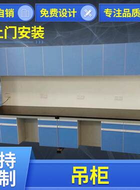 厂家供应试验台PP物理实验室吊柜化学实验室吊柜学校实验用设备