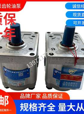合肥长源液压齿轮油泵CBW-F310-ALP液压泵CBW-F306-CFP高压泵油泵