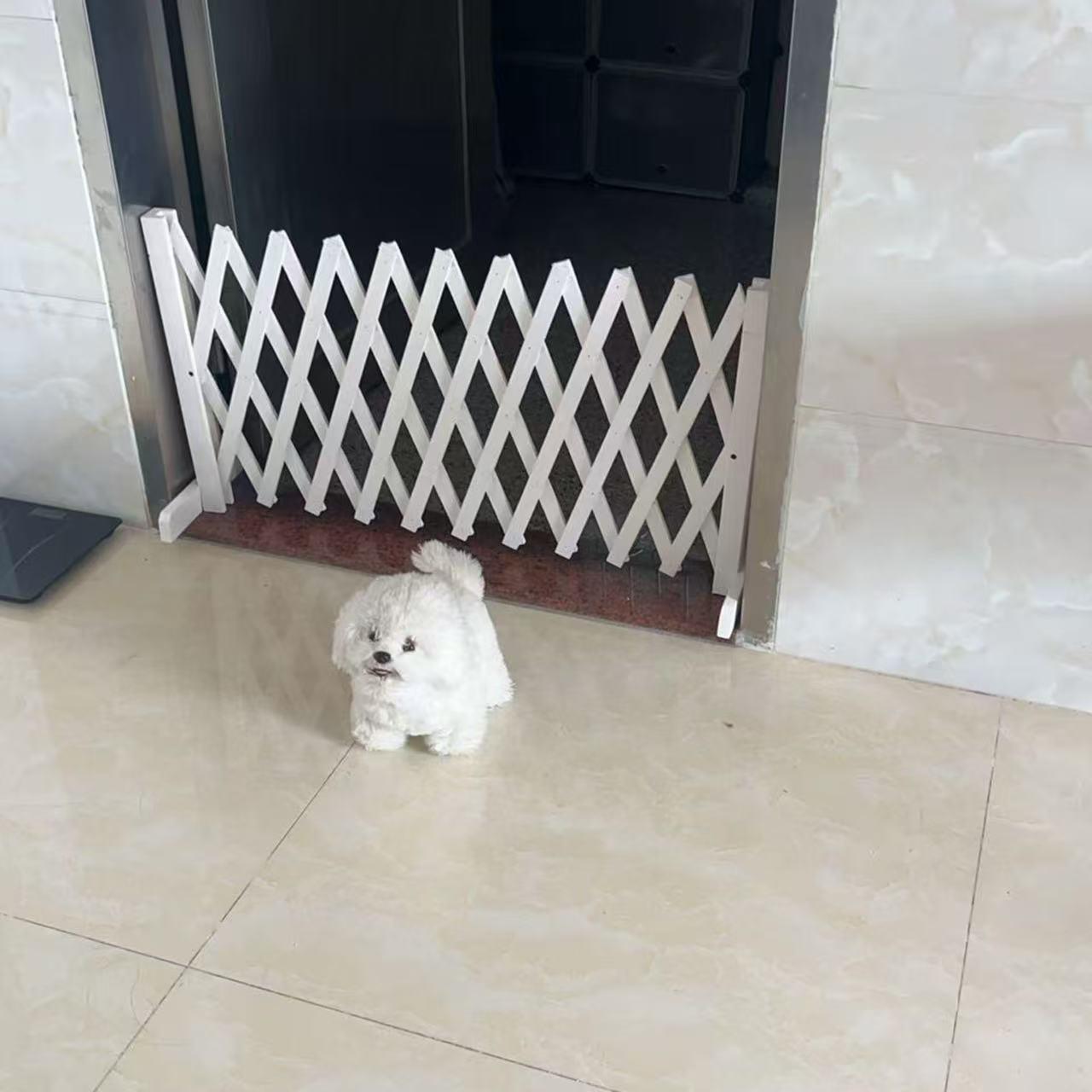 宠物围栏栅栏隔离门户外室内伸缩隔断拦猫拦狗栅栏挡板隔离网门栏
