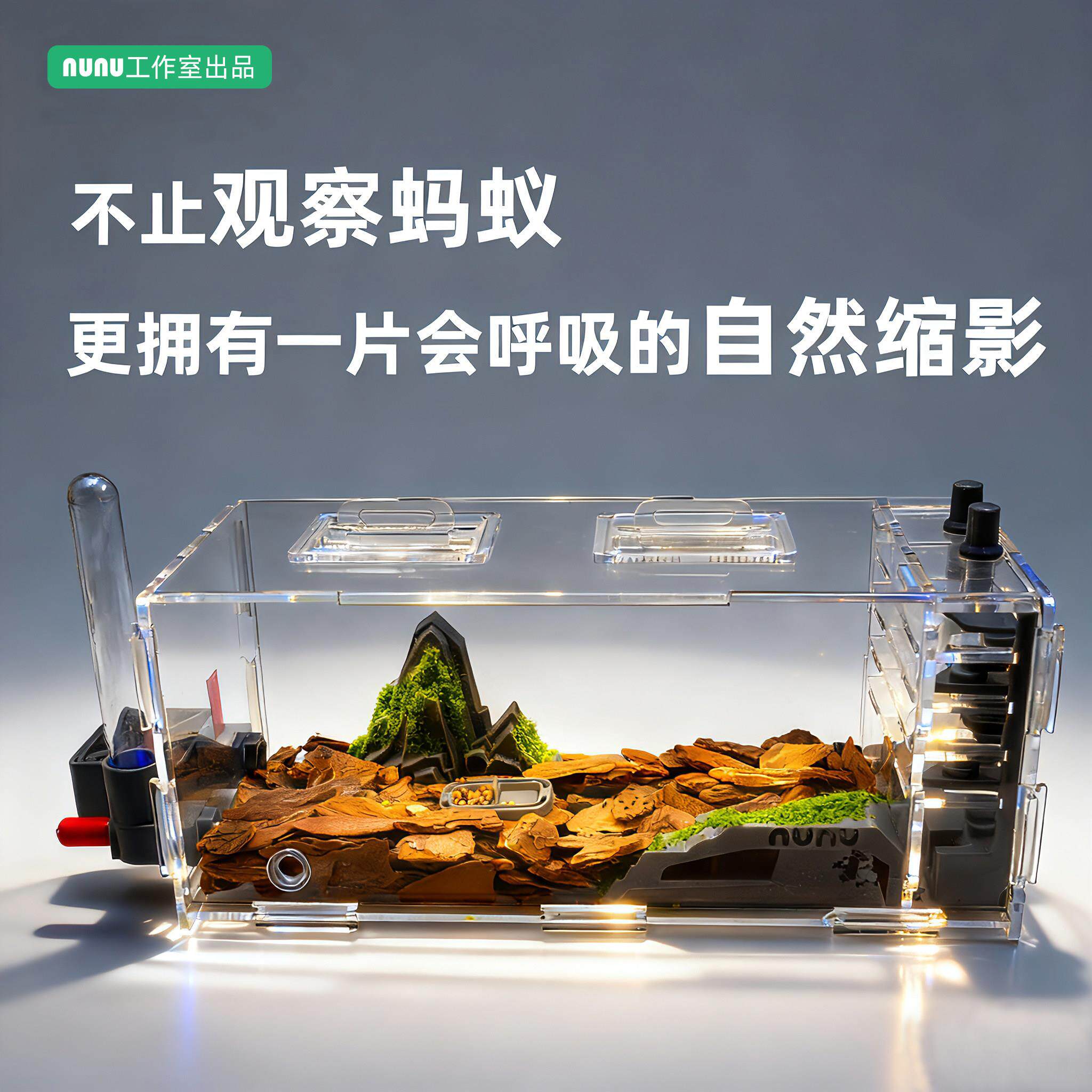 蚂蚁生态箱 蚂蚁巢造景蚂蚁工坊蚂蚁城堡