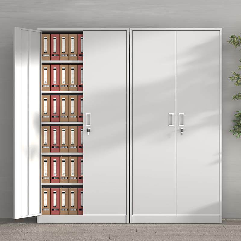 钢制办公室通门文件柜铁皮柜带锁书柜资料会计凭证档案柜储物柜子