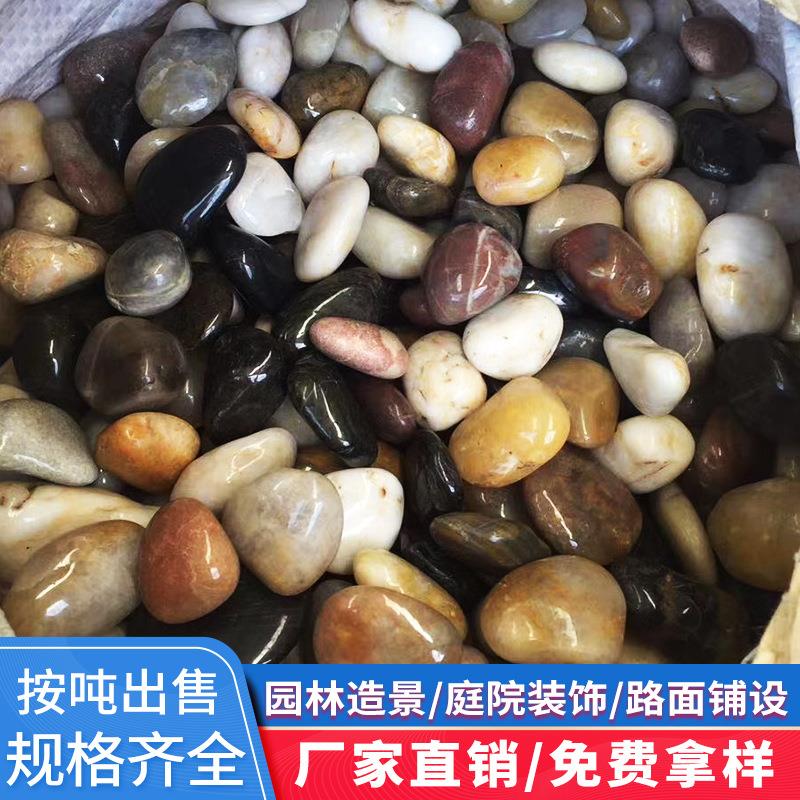 南京雨花石五彩鹅卵石抛光公园水池广场施工布景园林铺路庭院石头