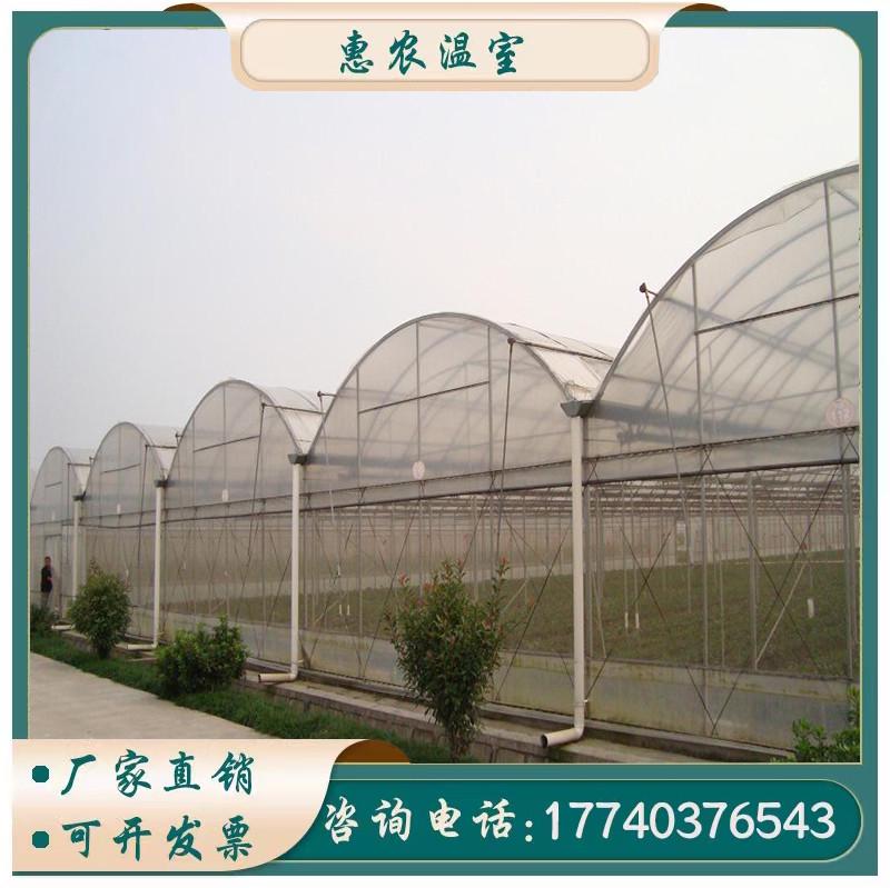 惠农连栋薄膜温室大棚 连体棚 农用养殖大棚 果蔬花卉大棚