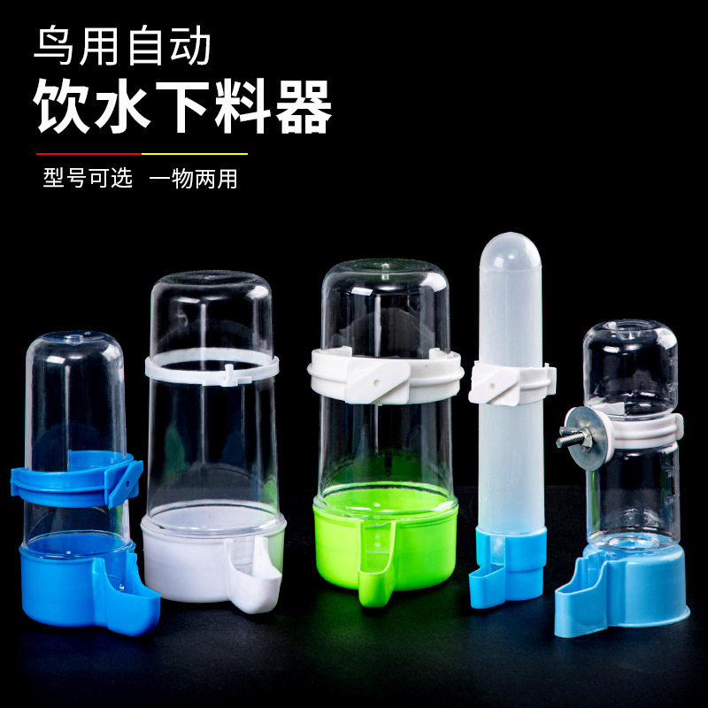 饮水器虎皮牡丹玄凤鹦鹉造景装饰