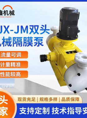 2JX-JM双头机械隔膜泵柱塞计量泵流量可调投药加药装置计量泵厂家