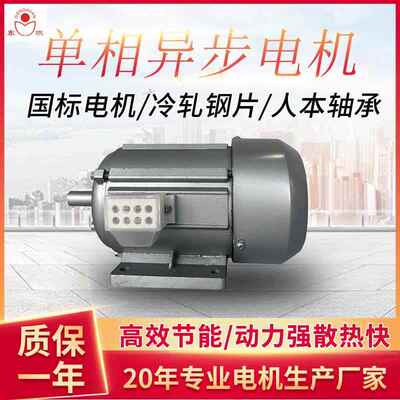 单相异步电动机JZ6314四极小功率0.09/0.12KW小型电机全铜线马达