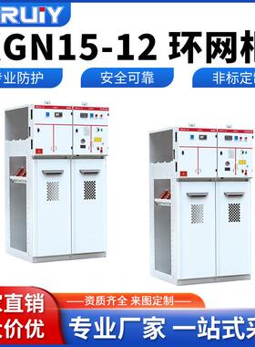 厂家直销高压环网柜进线柜XGN15-12环网柜固体柜进线柜计量PT柜