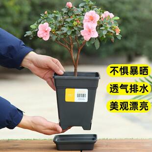 青山控根盆透气塑料花盆月季铁线莲种植盆绿萝加厚方形高款加仑盆