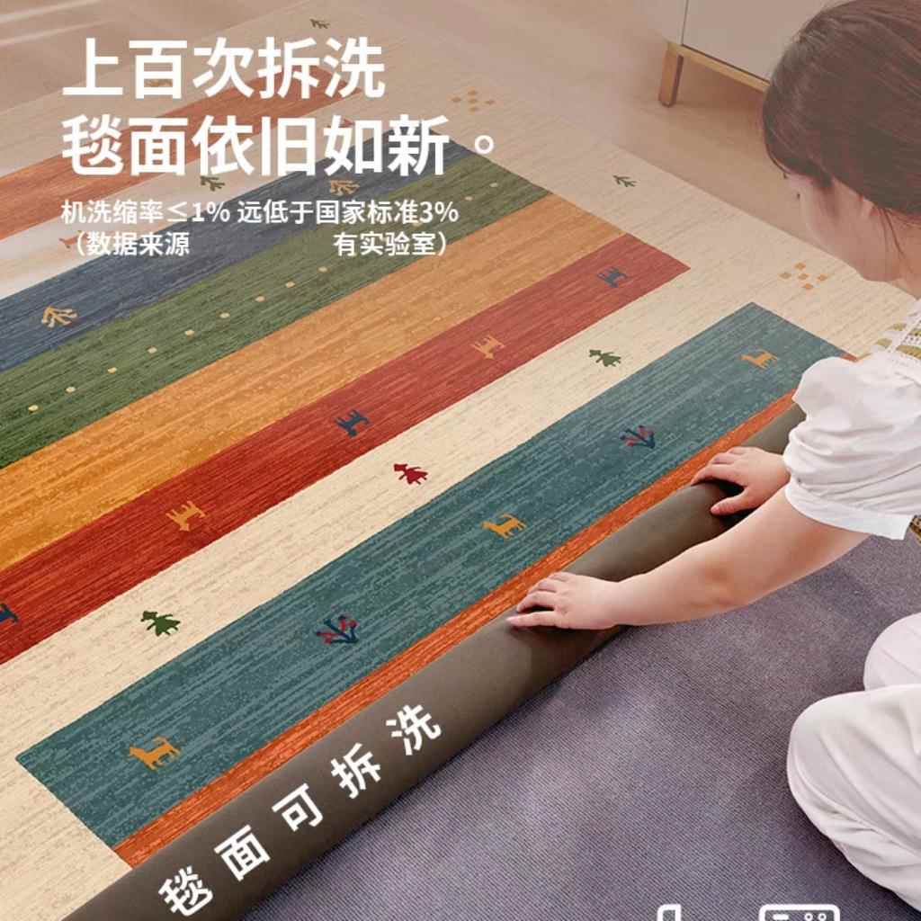 双层可拆洗地毯客厅可机洗水洗沙发茶几轻奢高级感简约卧室床边毯