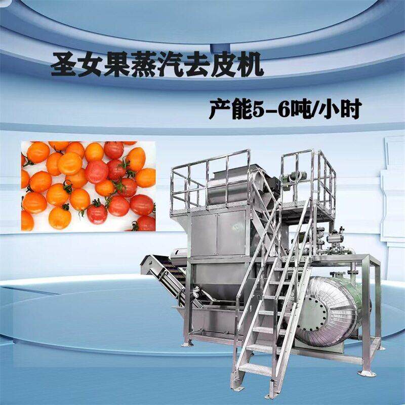 黄桃蒸汽去皮机葡萄全自动去皮流水线大型果蔬去皮机支持定制