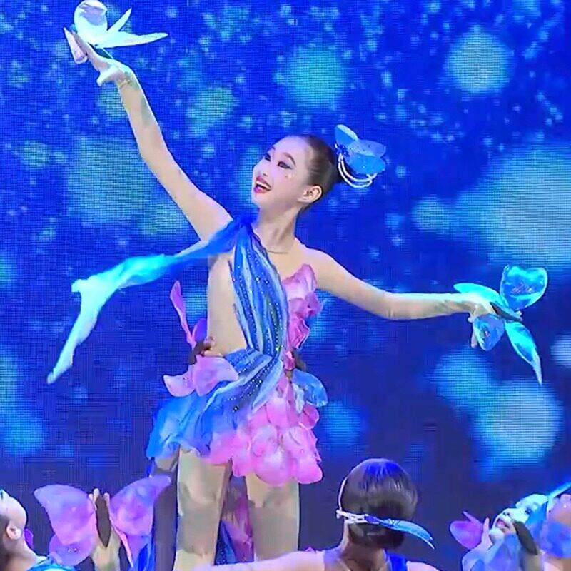 晓春飞蝶演出服元旦幼儿群舞梦碟飞舞蝴蝶彩蝶飞舞蹈道具表演服装